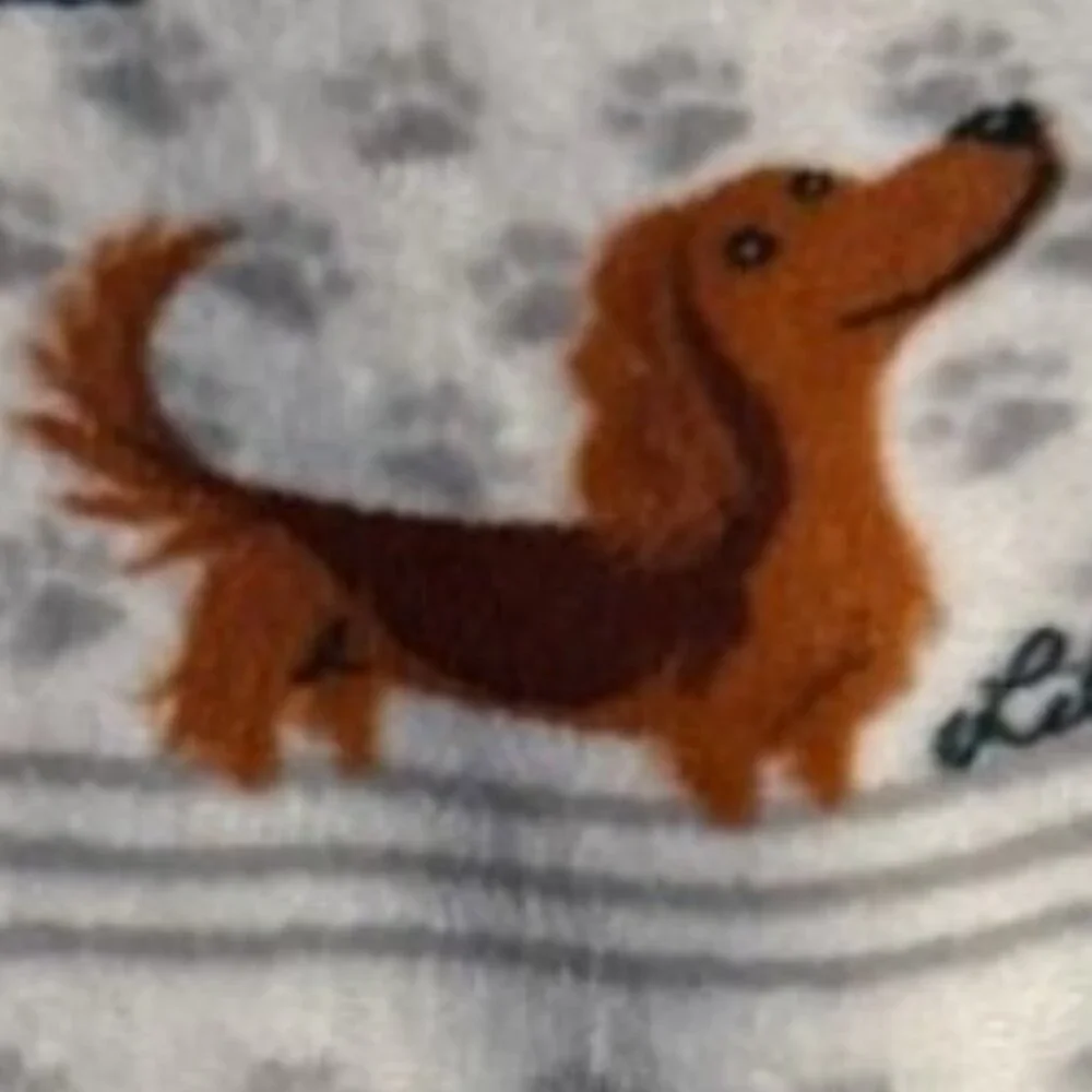BRAND NEW DACHSHUND / DOXIE / WEINER WEENIE DOG 60